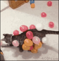Static-balloon-cat