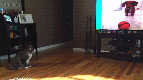 Интерактивное телевидение