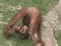 1236166824_peeinmouth