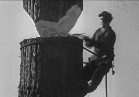 giphy-iloveimg-cropped