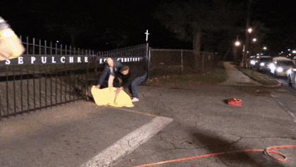 gif3808