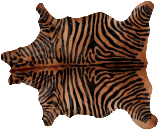 зебра рыж