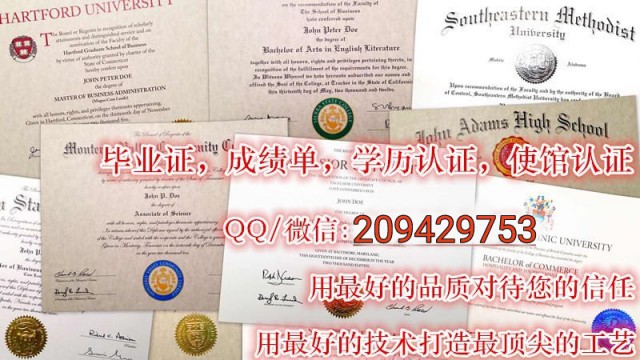 Sussex毕业证diploma QQ/微信:209429753办理英国苏塞克斯大学学位学历文凭成绩单University of Sussex 2017学生卡/offer