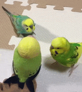 1489149233123015588