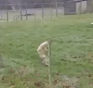 424fdf1ee1e49c0bbe48edbfe2edcffc