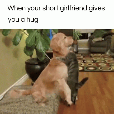 дружбаны
