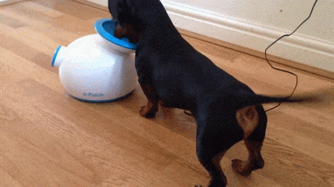 Самообслуживание