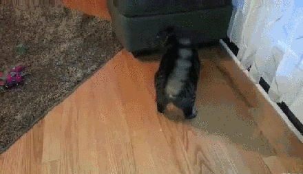 gif3871