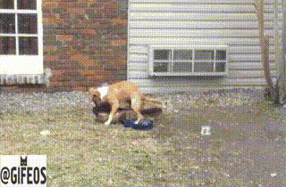 6_yapfiles.ru