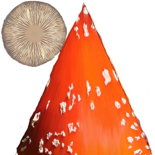 564a8ed9015c450d37a5a4ea9b96f7b0