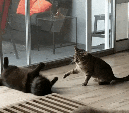 31613dc97a8a637a20d95777bf9557155b68026dc04504225bc5ebe8a7a339b2_1