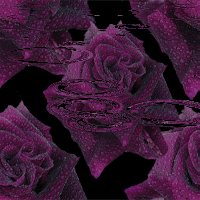 77008226_7fc177322006