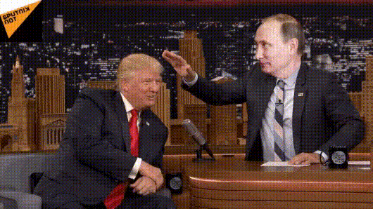 -Трамп_лохматый