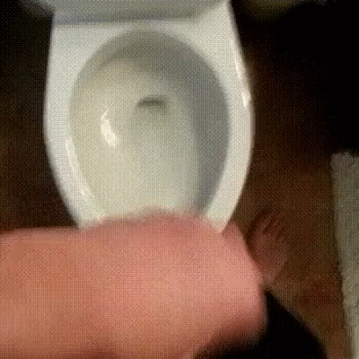 tumblr_n1s9b8R2k81rq9ek2o1_500