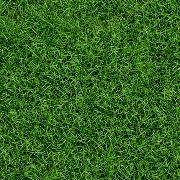 grass_013