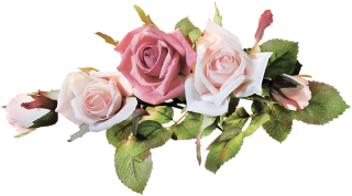 3855db49cf62ffe137f13fbbf4cbaa85
