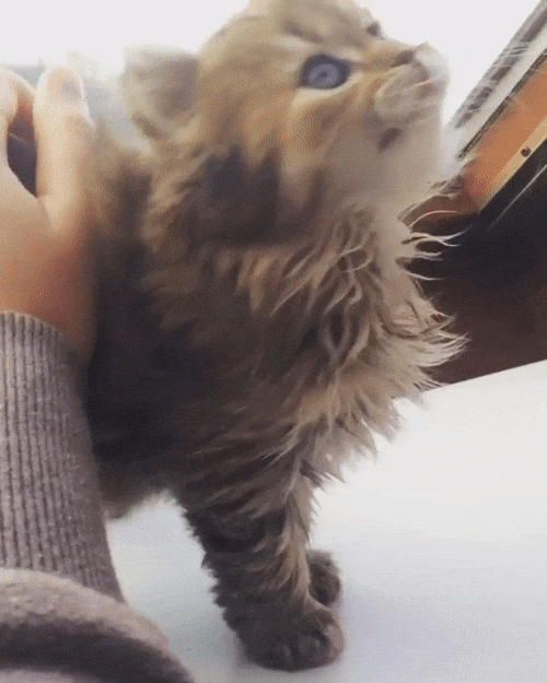 10da45f4e996cb6614a557dce6dabeb137f809393a2925a8123dc6c2e5d82f2d_1