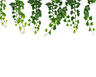 hanging_vine