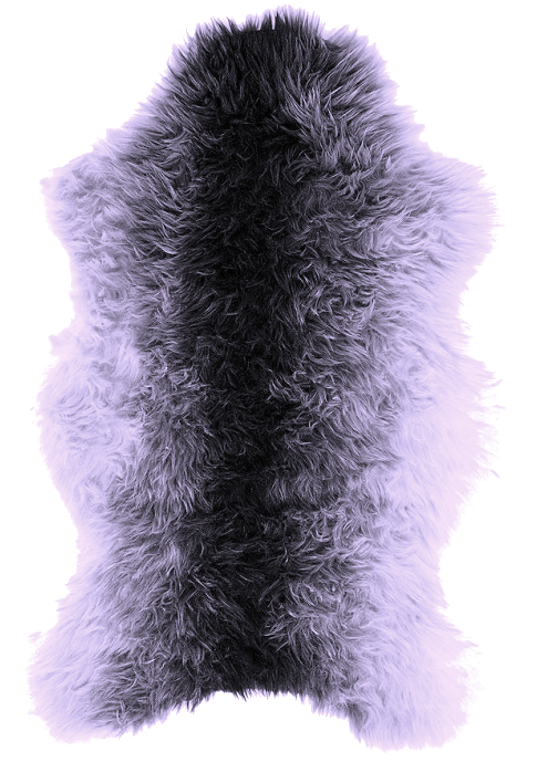 557e84b4b7e6751585b3fddce97b5c3257