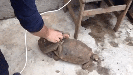 1455120621-cbf28b140862c5748012582e9dfc1ef4