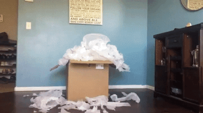 IMG_4945.GIF
