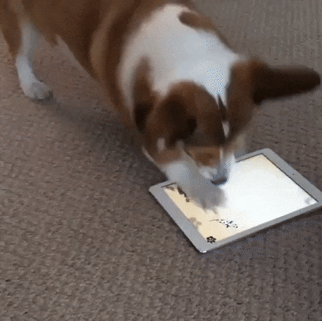 Развязка в конце