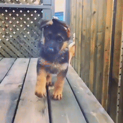 Порву сейчас!