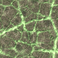 92283c37862432e63316669b8a23a748