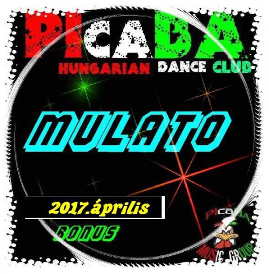 00.PIcaBA Group - Mulató 2017 április