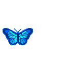 blue-butterfly-links