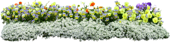 FlowersintheGarden_078_yapfiles
