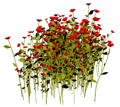 0_f5416_8ebd2cf4