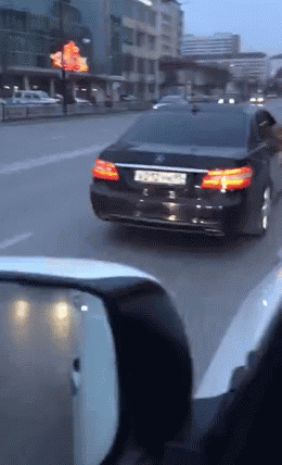 -львёнок-авто-пассажир-3827419