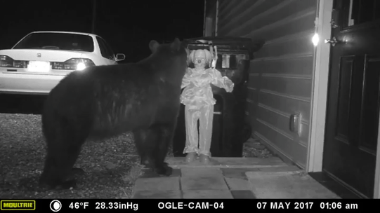 Отпугиватель мишек