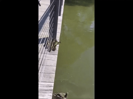 Смелость и отвага