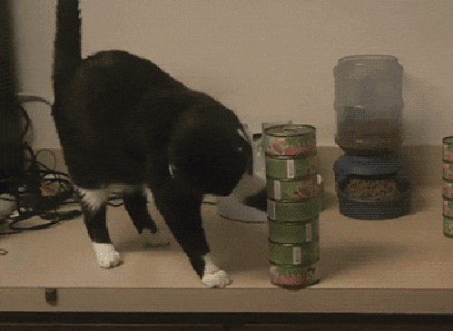 __cat_konservy