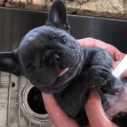 Верх наслаждения