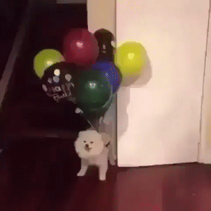 День рождения