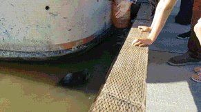 7ccdcf9d61d7c9924a552dae3c7