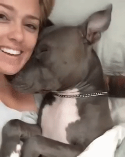 Любовь-морковь