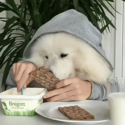 Чудесный завтрак