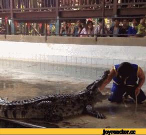 D0B3D0B8D184D0BAD0B8D0BAD180D0BED0BAD0BED0B4D0B8D0BBD0B8D181D0BFD183D0B3D0BFD0B5D181D0BED187D0BDD0B8