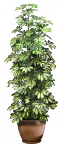 0_167b7e_e056279d_orig