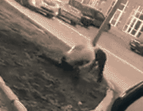 Константин и нарк