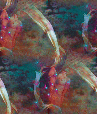 83 Девушка в красном