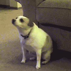 1371627490_1368170472_2097968475