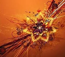 image (1)