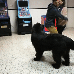 Отпусти ка!