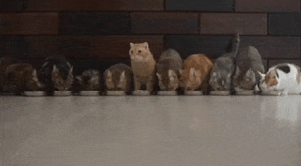 воспоминания