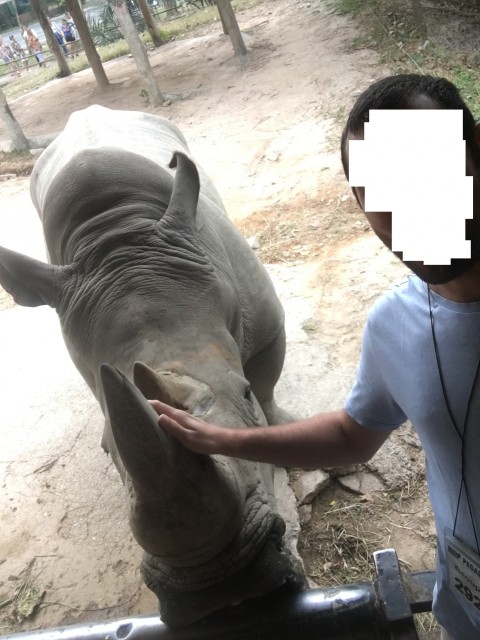 12 (52)